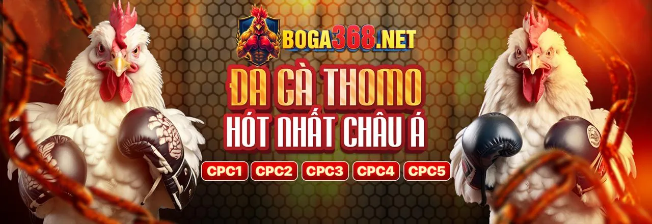 Sân đấu đá gà trực tuyến kịch tính trên dt88
